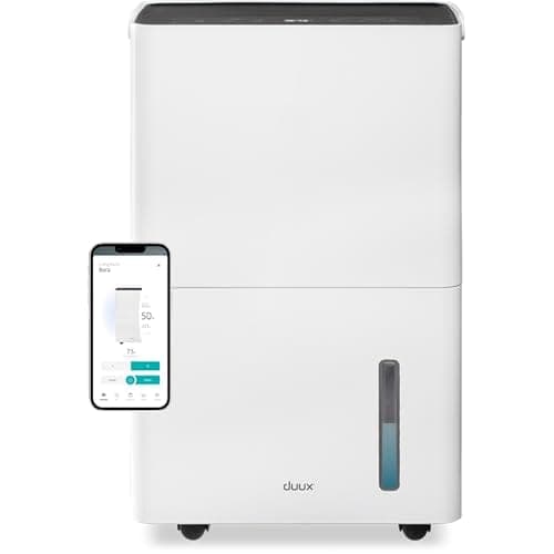 Duux Bora 20L connecté